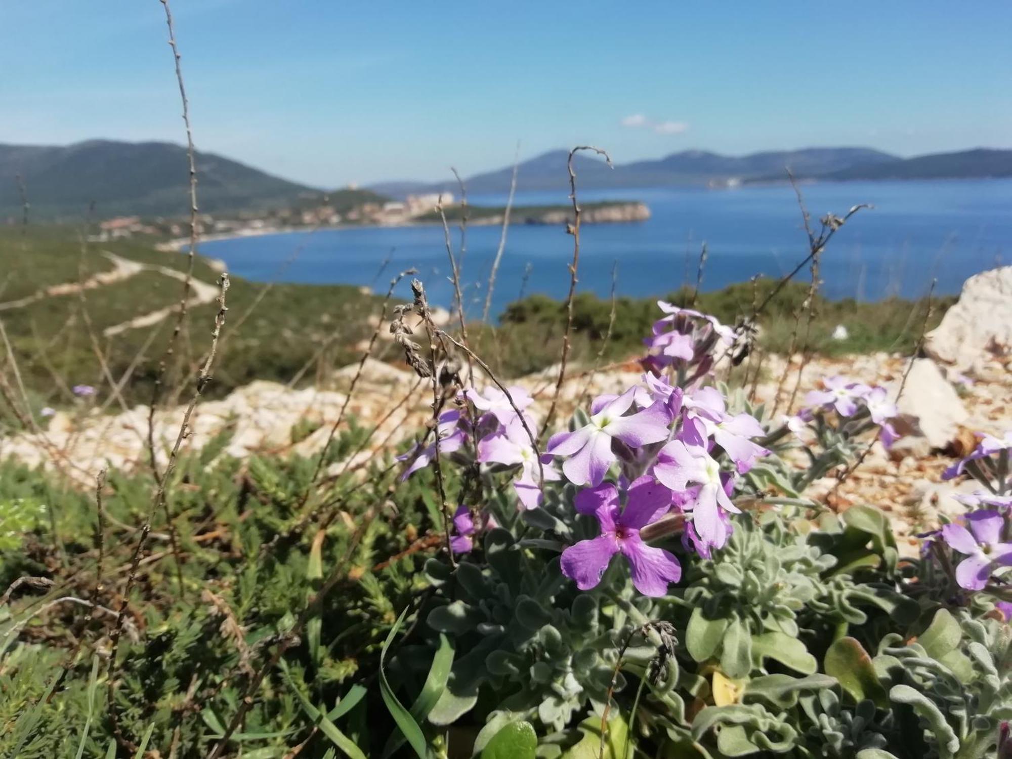 El Matorral Bed and Breakfast Alghero Buitenkant foto